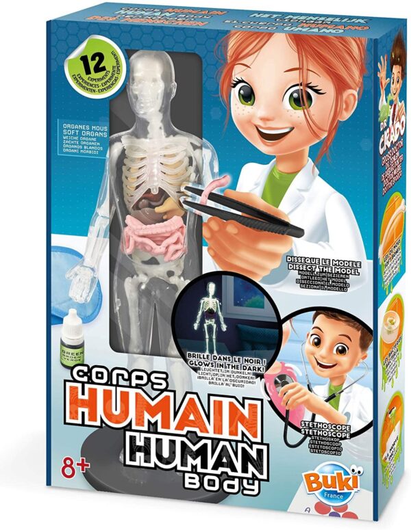 Corps Humain