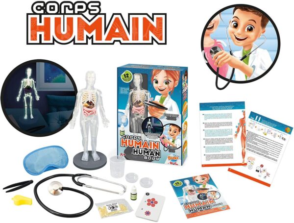 Corps Humain – Image 6