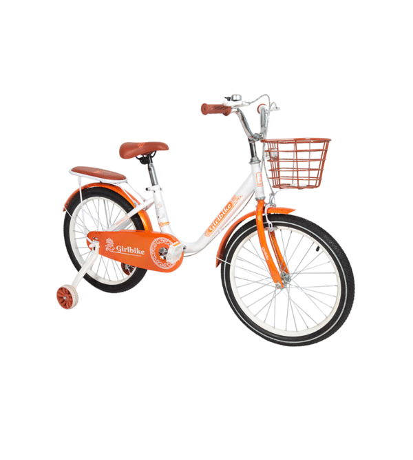 VELO POUR FILLE 20 POUCES AVEC PANIER