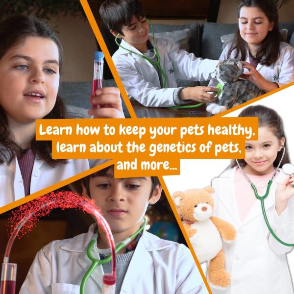 Première Clinique Vétérinaire - Science4You – Image 5