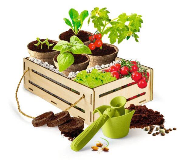 Jardin et Potager - Play For Future – Image 2