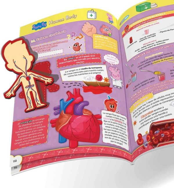 Pegga Pig Human Body - Science4You – Image 5